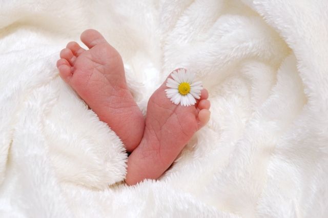 В 2022 году на Ямале рождаемость превысила смертность в два раза. 