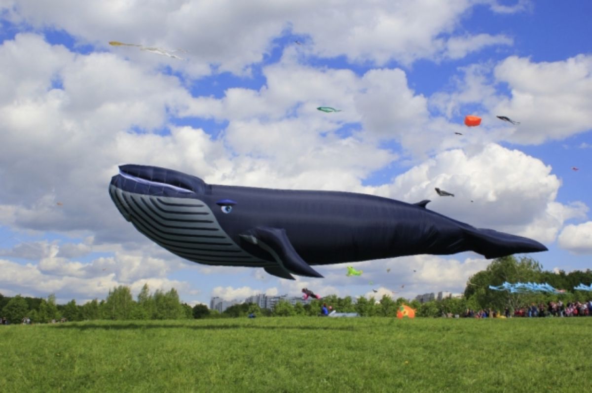 Что пролетело над хабаровском. Фестиваль воздушных змеев Хабаровск 2022. Воздушный кит. Гигантский кит. Гигантский надувной кит.