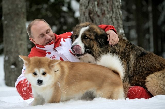 Каких животных дарили Владимиру Путину