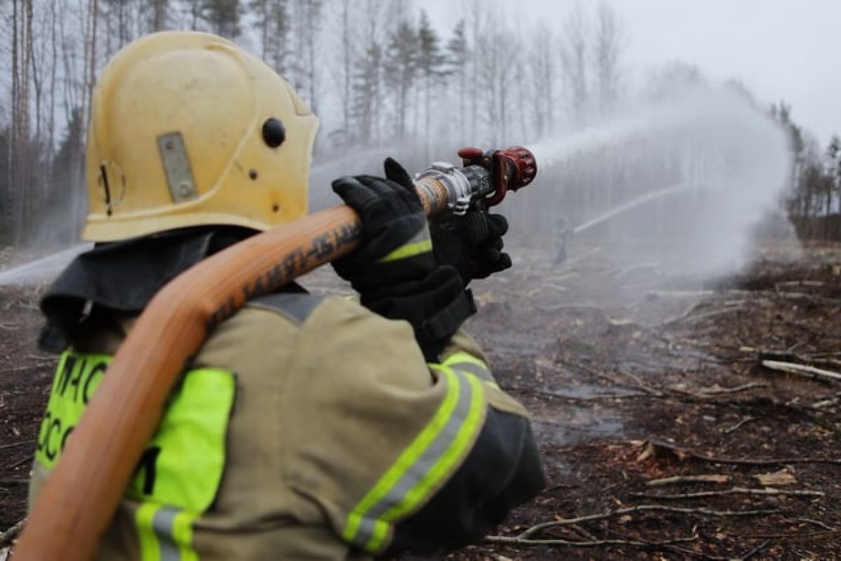 Лесные пожары под Рязанью тушат три вертолета и самолет
