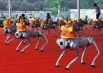 Сто роботов-собак Unitree Robotics станцевали на открытии конференции. Танец был посвящён символу 2022 года – тигру.