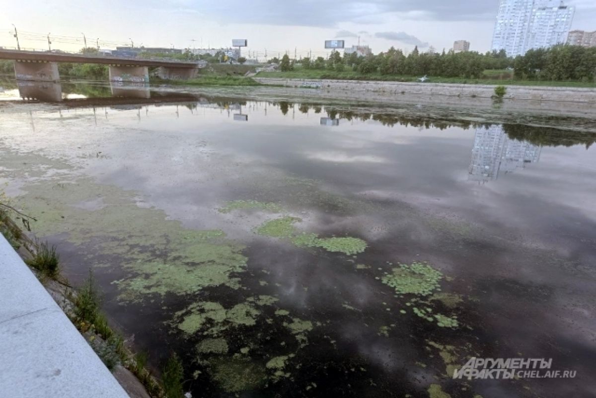 Миасс вода. Экология Челябинска Миасс. Река Миасс. Очистные сооружения Челябинск. Заросшая река.