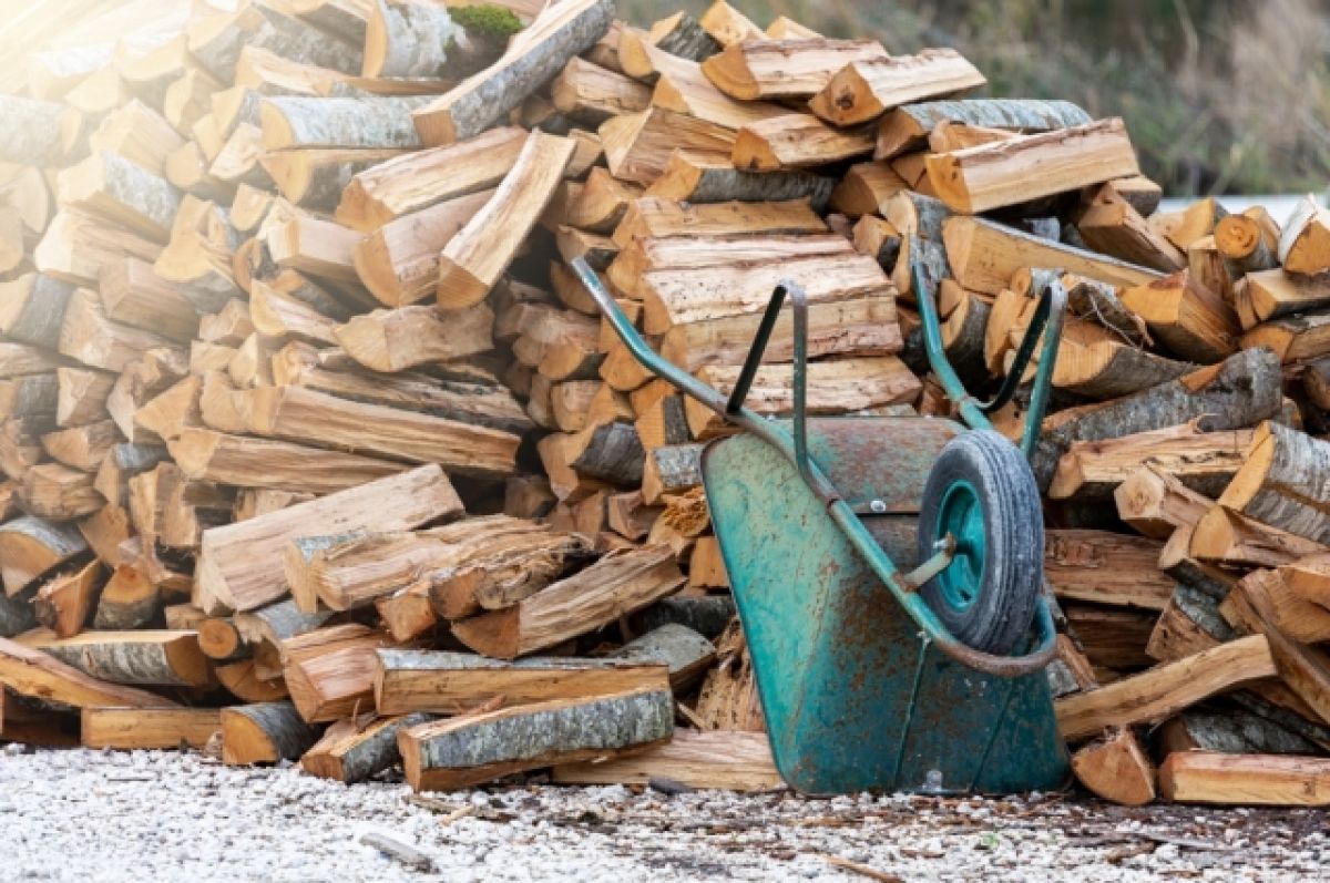 Готовят дрова летом. Европейцы придумали, чем заменить российский газ