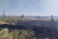 В Новотроицке шесть пожарных расчетов тушили загоревшиеся сухую траву и мусор.