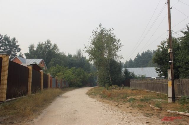 Многие дома в Кузино стоят рядом с лесом. 