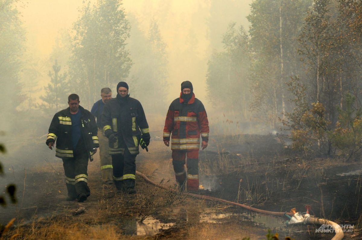 Собянин заявил об увеличении группировки по тушению пожаров под Рязанью