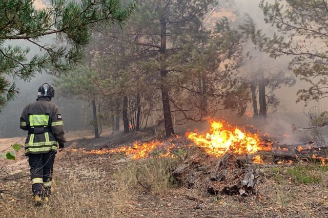 Все силы брошены на ликвидацию лесных пожаров в регионе.