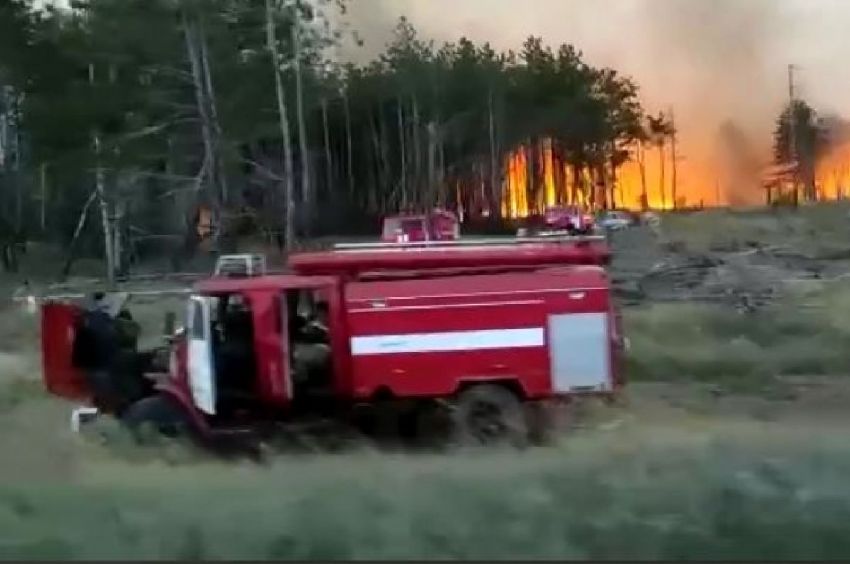 В Ростовской области потушили пожар площадью 54 га