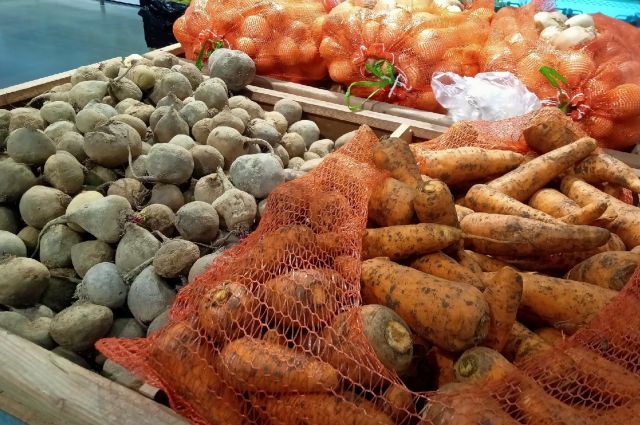 Дешевле, чем годом ранее, стоят свекла, морковь и огурцы, замедлился рост цен на картофель и чеснок.