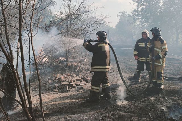 В этом году в области уже выгорело более тысячи гектаров леса.