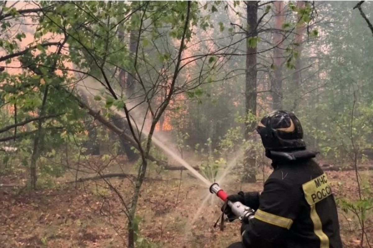 Общая площадь лесных пожаров в Рязанской области увеличилась на 29%