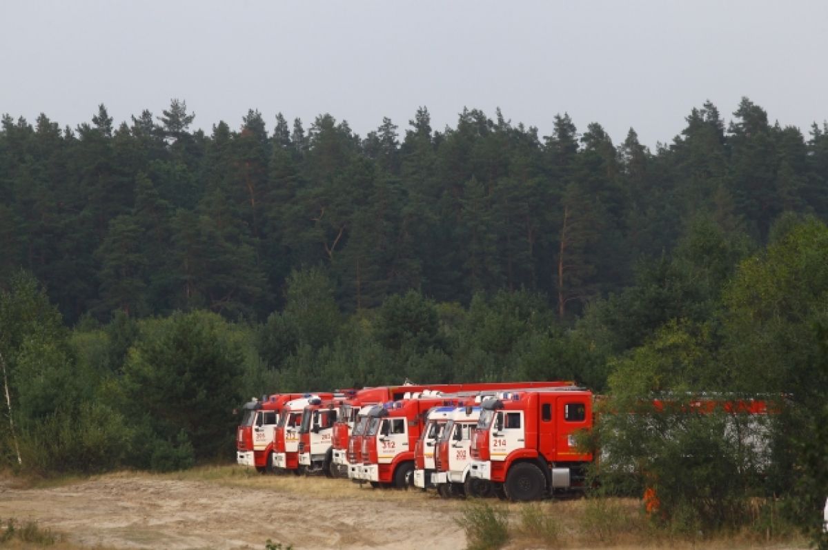 Глава МЧС РФ рассказал о ситуации с лесными пожарами в стране