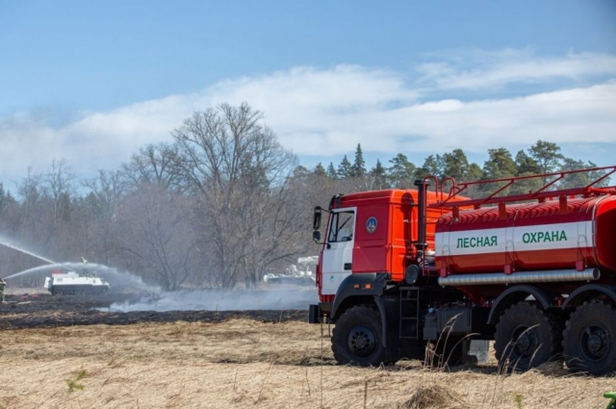 Брянские эксперты оценили ситуацию с лесными пожарами в России
