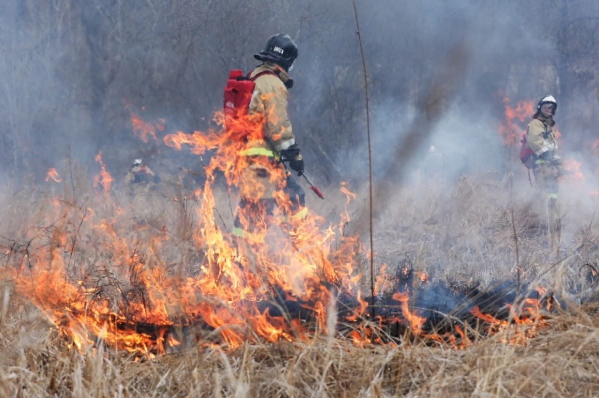 Природный пожар под Рязанью угрожает еще шести населенным пунктам