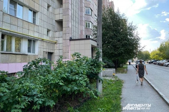 Дом, в котором находится квартира обвиняемой в Перми.