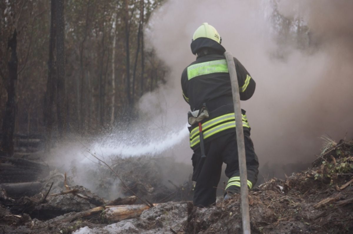 В России за сутки ликвидировали 70 природных пожаров
