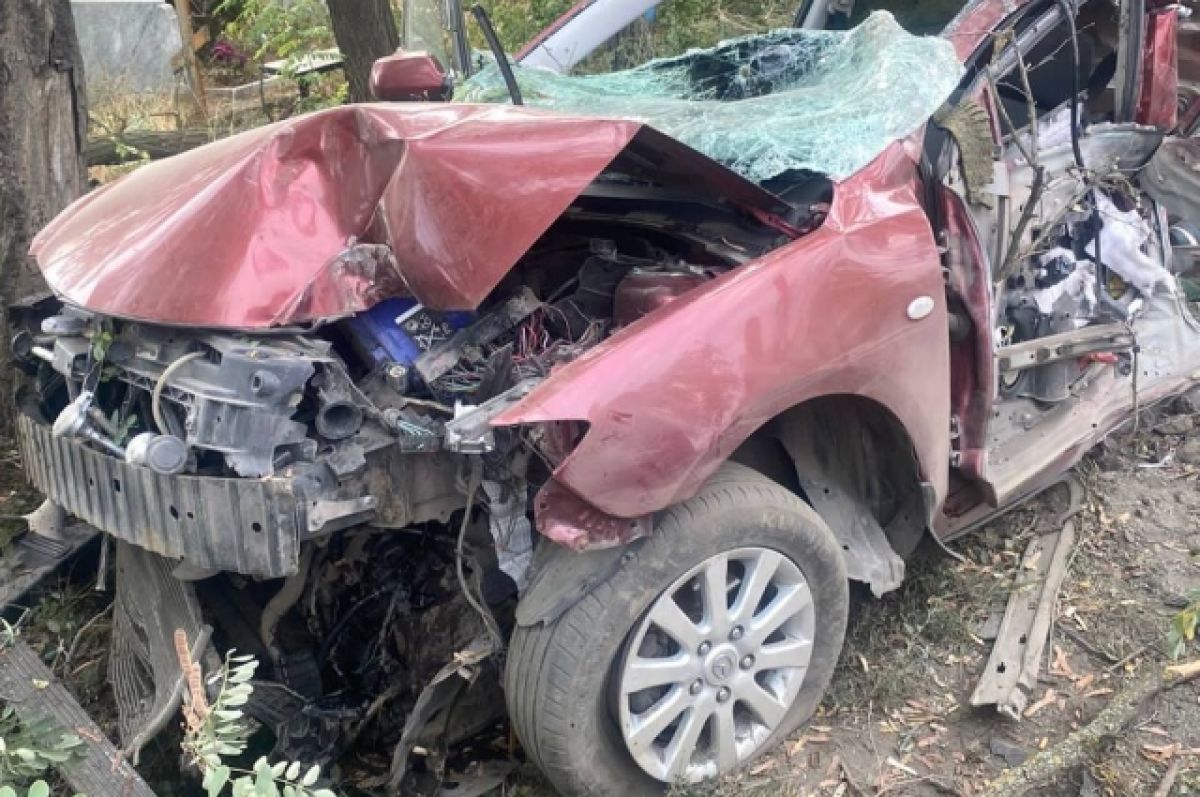 В Ростовской области водитель на Mazda въехал в дерево и погиб