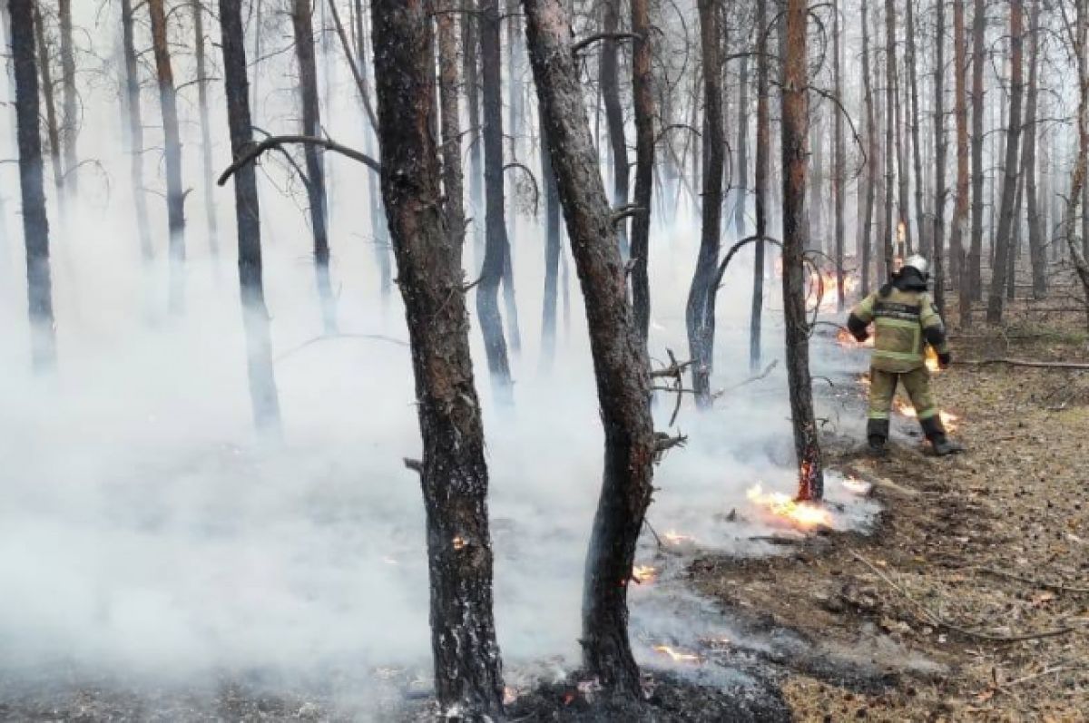 В Ростовской области потушили лесной пожар на площади 269 Га