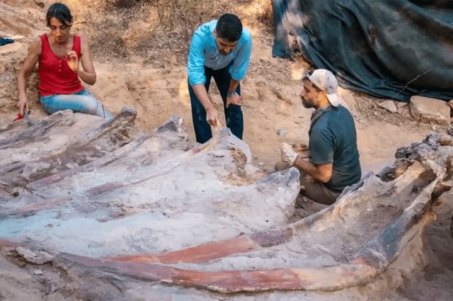Крупнейший скелет динозавра найден в Португалии