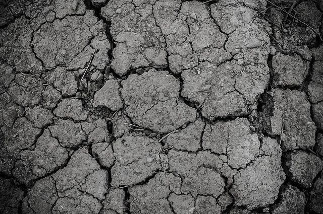 Почвенную засуху зафиксировали в Можге