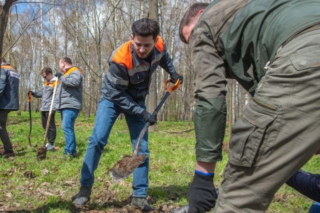Красноярцев приглашают принять участие в общегородском субботнике.