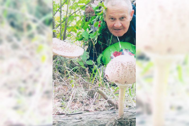 Житель г. Октябрьского Ф. Идрисов любит собирать грибы и ягоды в окрестностях родного города.