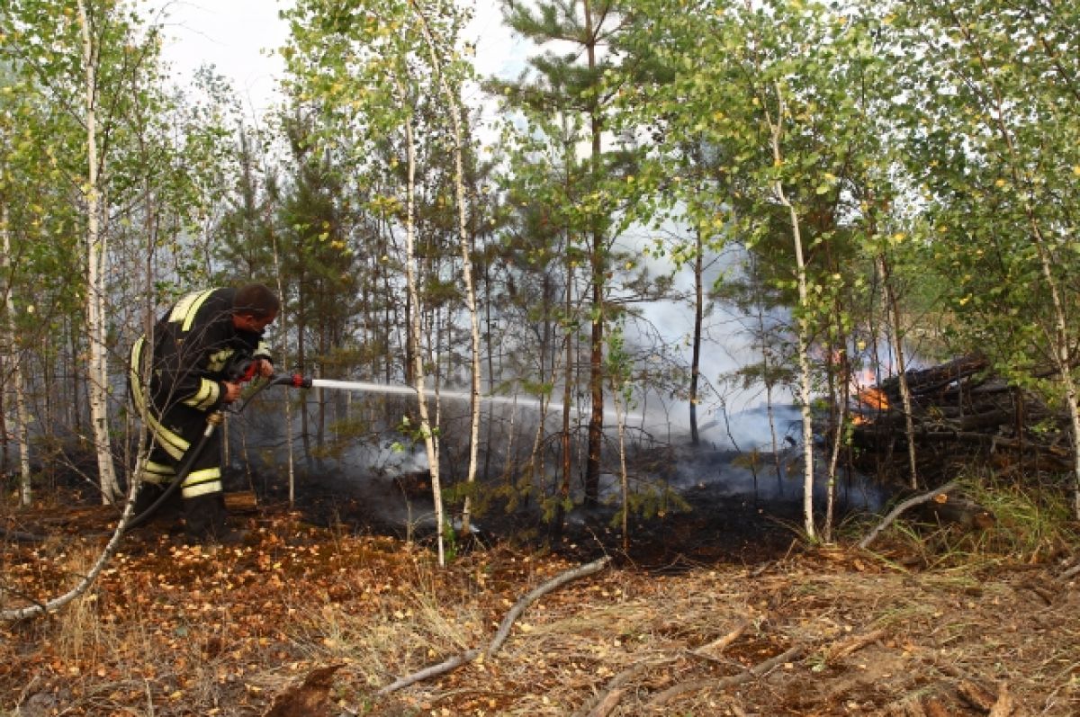 В Рязанской области осталось потушить один очаг лесных пожаров