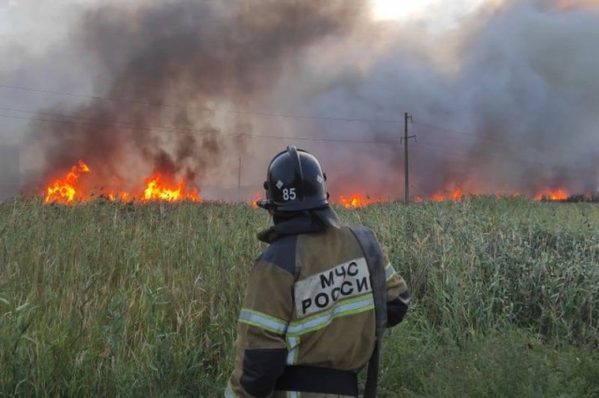 В Ростовской области чиновник сжёг музей «Степная застава»
