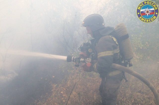 Пожар вблизи «Качкарского Мара» в Оренбурге ликвидируют 149 человек и 50 единиц техники.