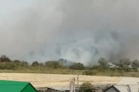 Огонь природного пожара в районе Адамовки затронул хозпостройки и один жилой дом.