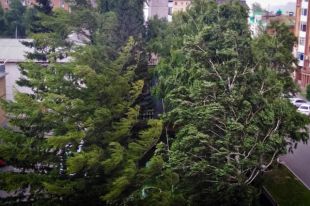 По словам одного из местных жителей, в Черёмушках из-за сильного ветра отключился свет.