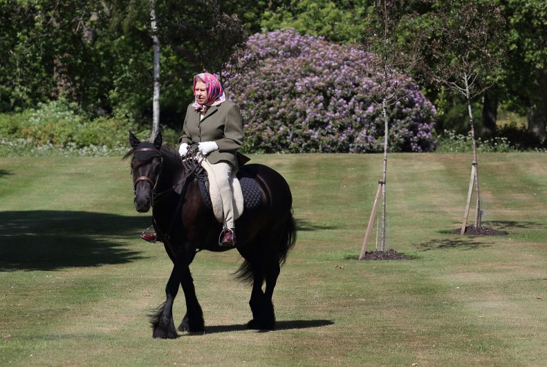 Елизавета II прогуливается на 14-летнем пони по имени Балморал Ферн в Виндзоре, 31 мая 2020 года 