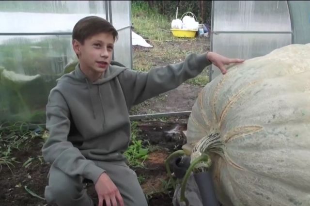 Орский школьник будет участвовать в конкурсе с тыквой весом 540 кг
