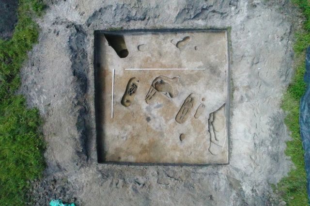 Древнее захоронение, найденное в Курганской области