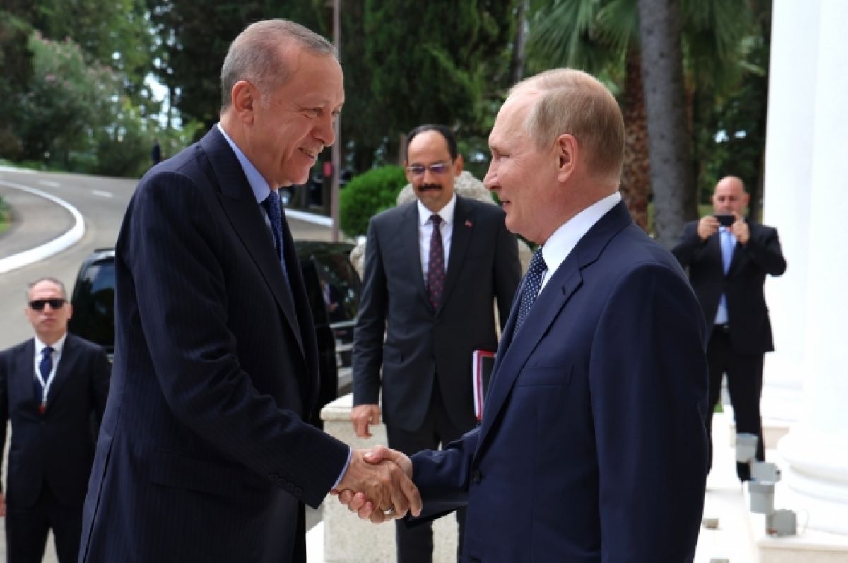 Лидеры балканских стран попросили Эрдогана обсудить с Путиным поставки газа