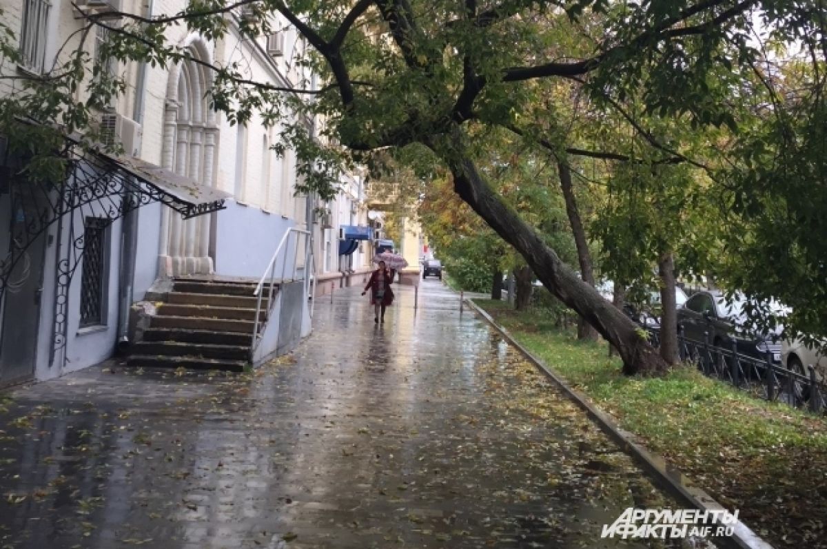 В Белгородской области 18 сентября ожидаются сильные дожди с грозами | АиФ  Белгород