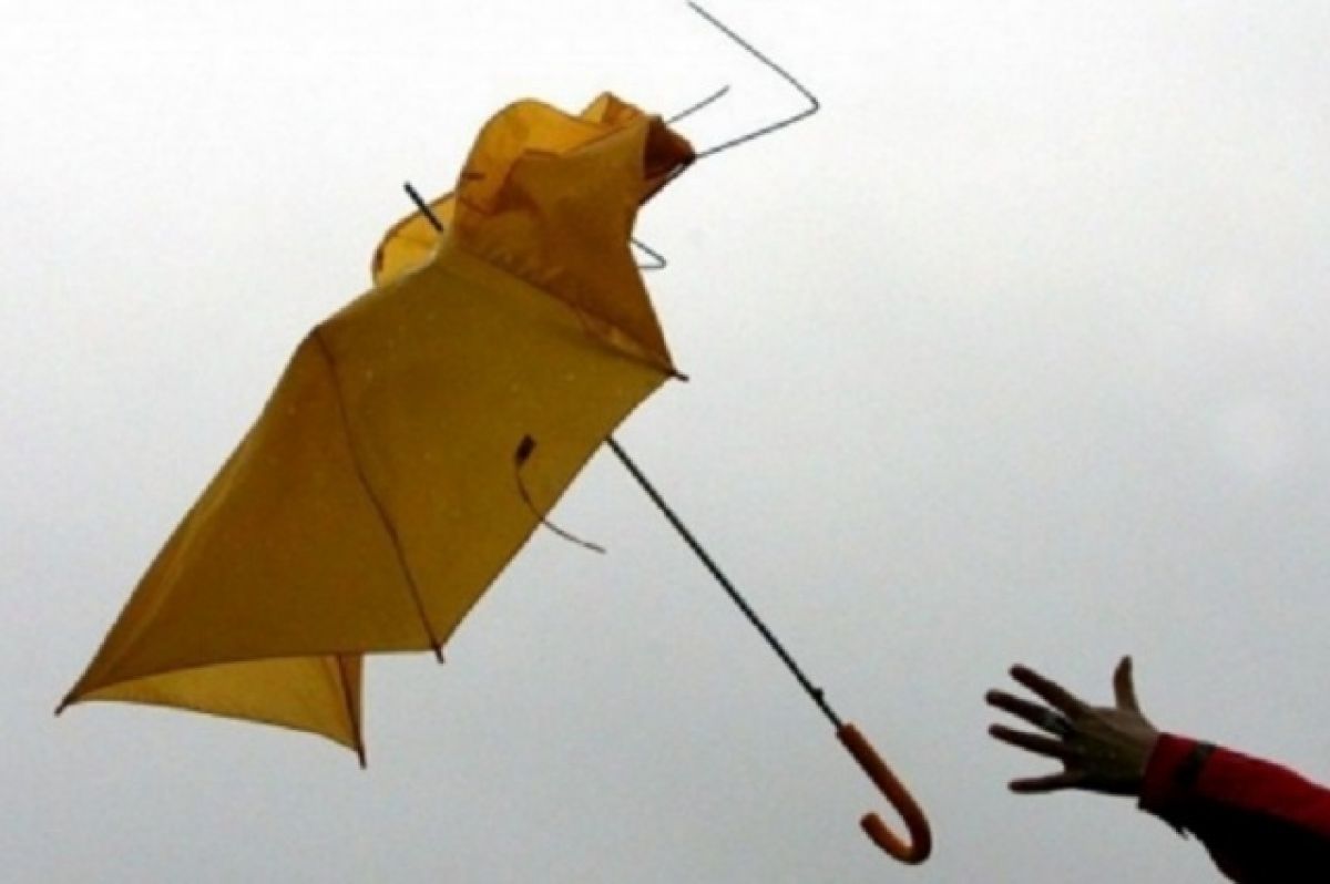 МЧС предупредило о порывистом ветре и дождях на Брянщине 19 сентября