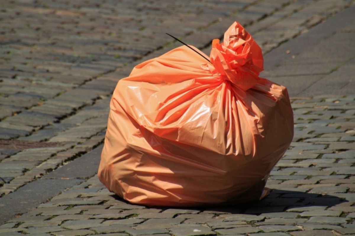 В Барнауле напротив ВДНХ обнаружили свалку с мусором из магазинов