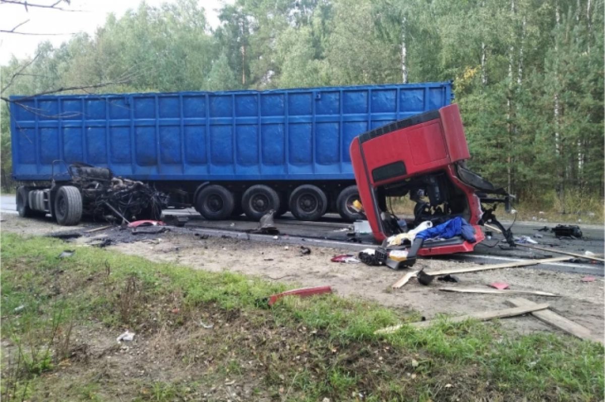 За неделю во Владимирской области в ДТП погибли 10 и пострадали 38 человек  | АиФ Владимир