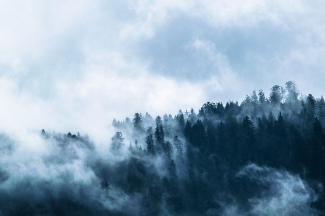 В ночь на 21 сентября в Удмуртии ожидается туман