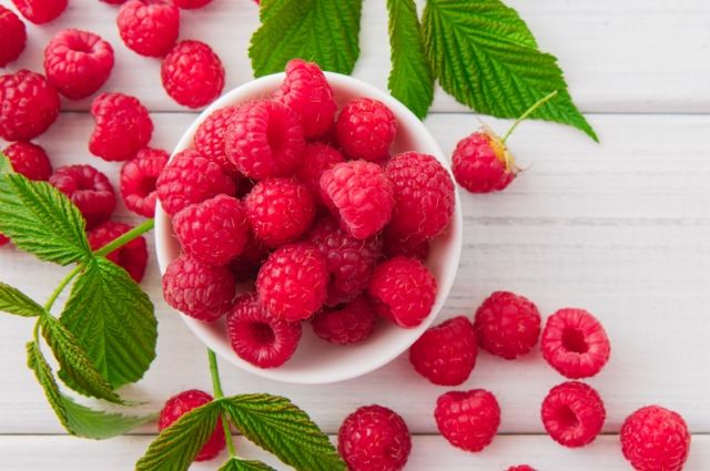 День варенья: за 7 лет урожайность ягод в России увеличилась на 14%.