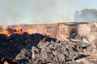 В одном из сел Адамовского района огонь уничижил хозпостройку и скот.