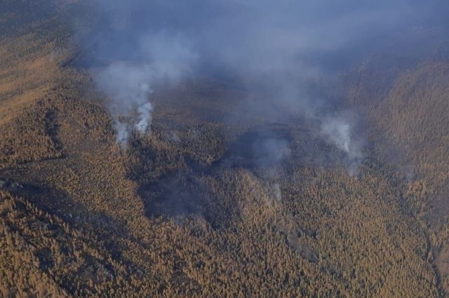 Лес горит в труднодоступной гористой местности.