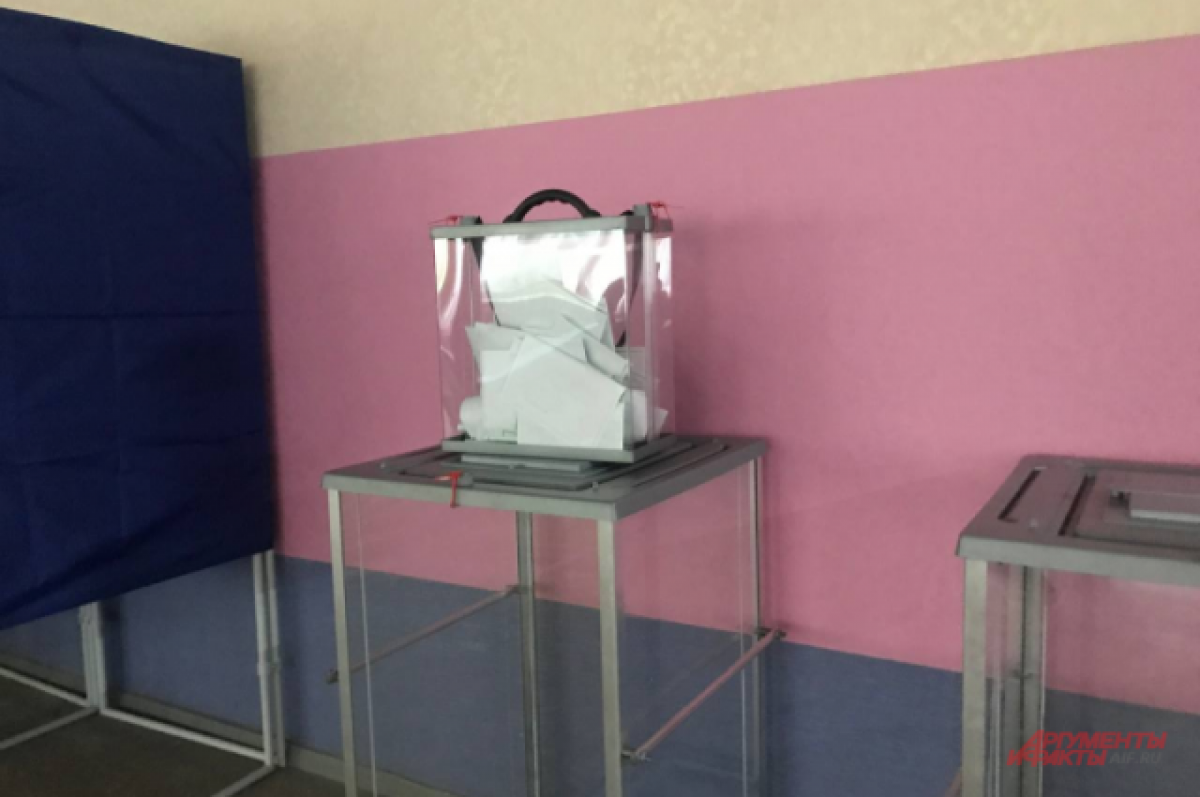 В Запорожье заявили, что сообщений о нарушениях на референдуме нет