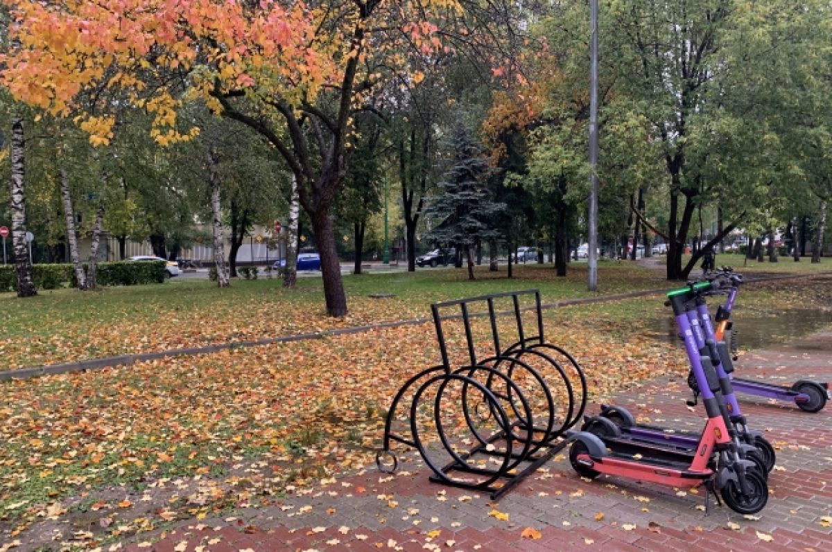 В Барнауле завершены поиски 5-летнего мальчика на самокате