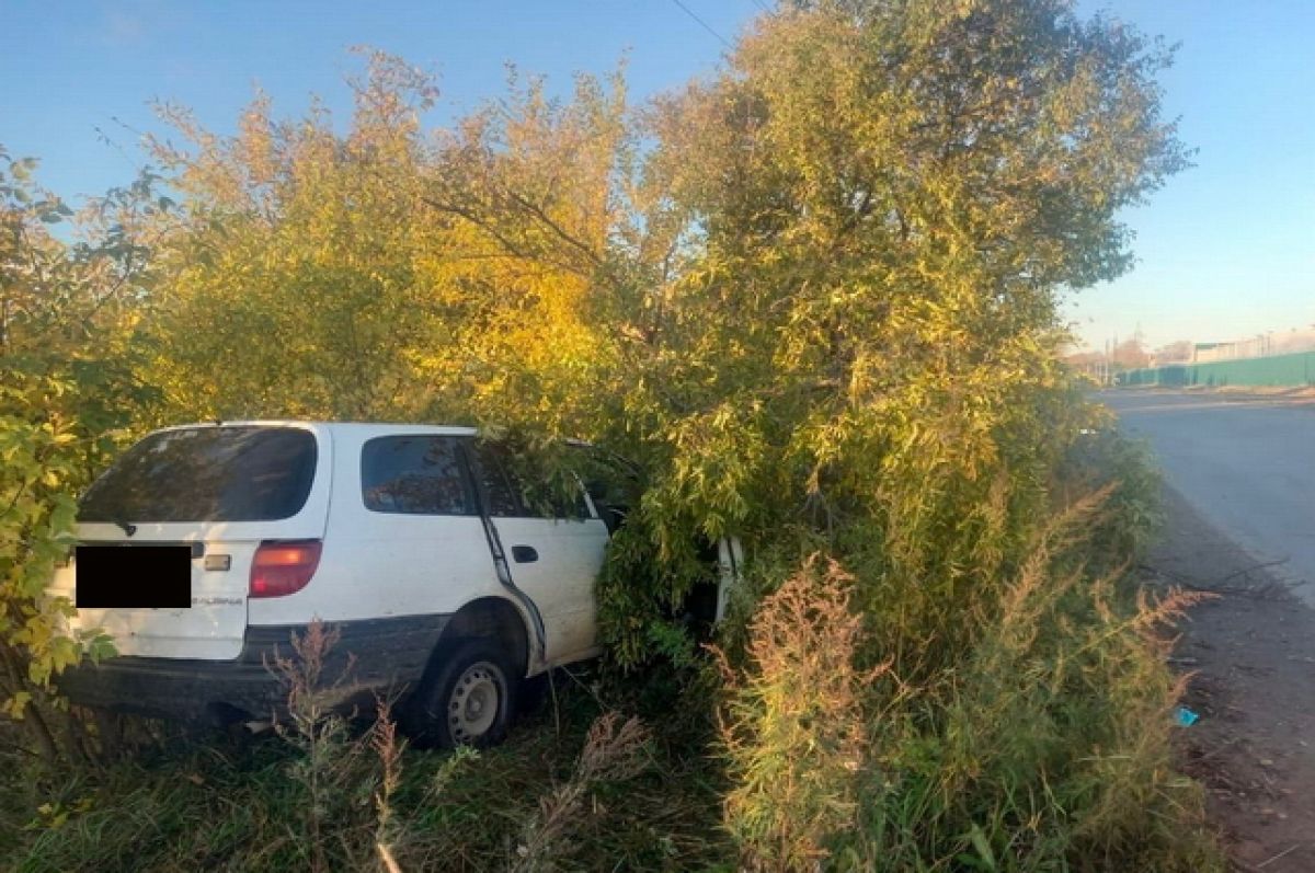 14-летняя комсомольчанка разбила машину матери об дерево | АиФ Хабаровск