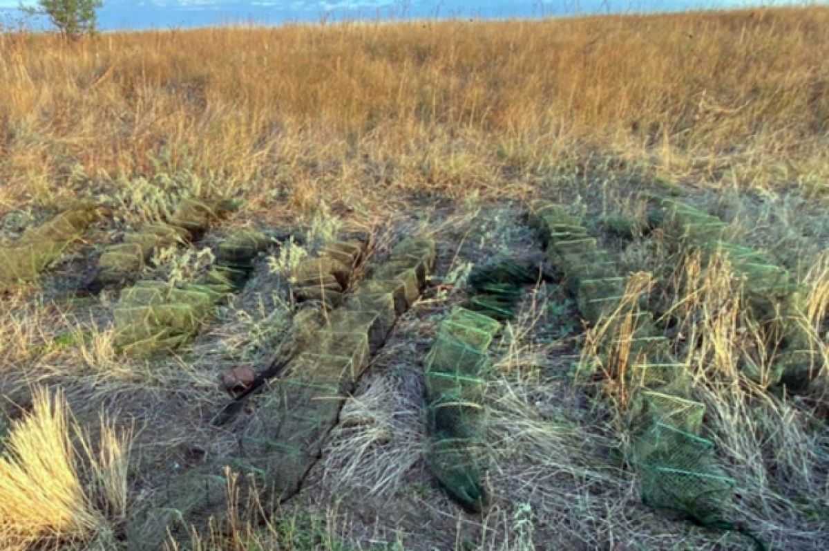 Жителю Ростовской области грозит два года тюрьмы за браконьерство