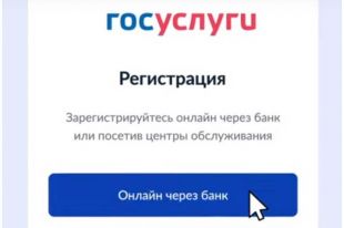 На госуслугах появилась новая опция