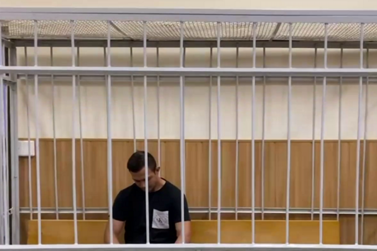 Во Владимире мажор сядет на 1,5 года в тюрьму за нападение на полицию
