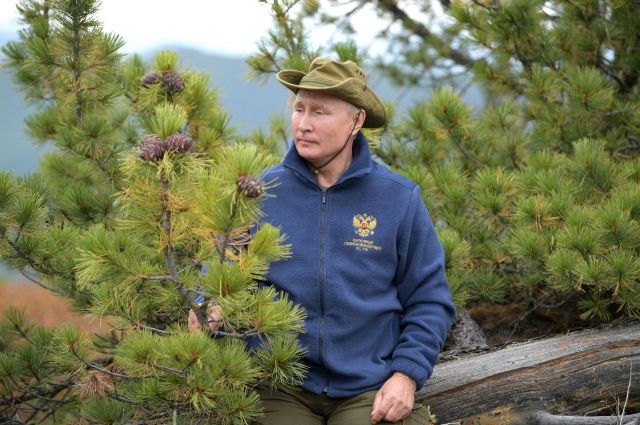 Владимир Путин во время прогулки в тайге, 7 октября 2019 г.
